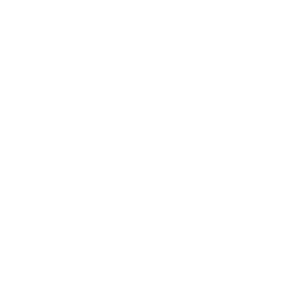 Youthville